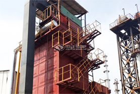 國內(nèi)最大導(dǎo)熱油鍋爐投入運(yùn)行！