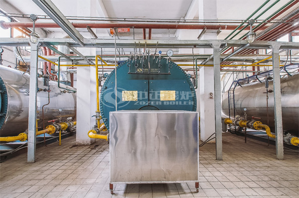 4噸WNS冷凝式燃?xì)忮仩t項目