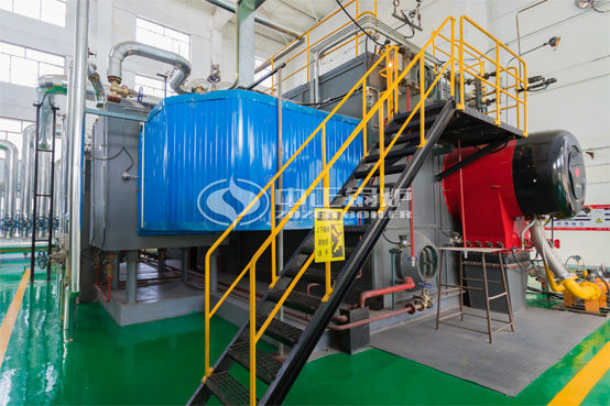 30噸SZS系列冷凝式燃?xì)庹羝仩t項目