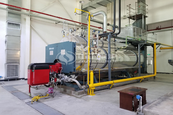 農夫山泉果業(yè)10噸WNS系列天然氣蒸汽鍋爐項目