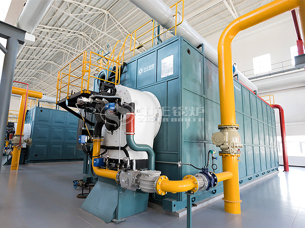 中正鍋爐質(zhì)量萬(wàn)里行回訪天津國(guó)環(huán)置業(yè)供暖鍋爐房